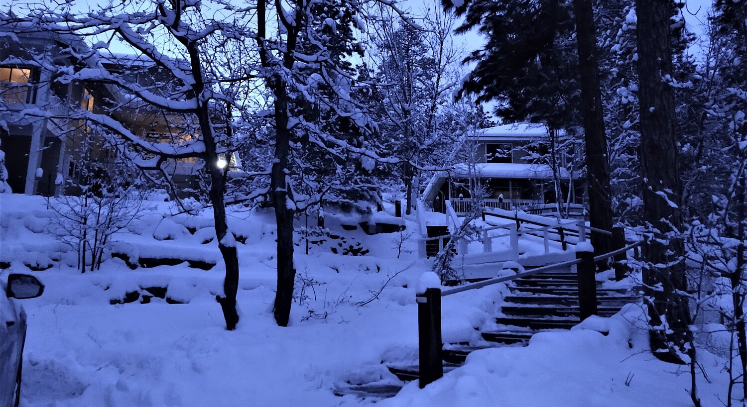 Outside of two homes with long stepped walkway with trees and ground covered in freshly fallen snow