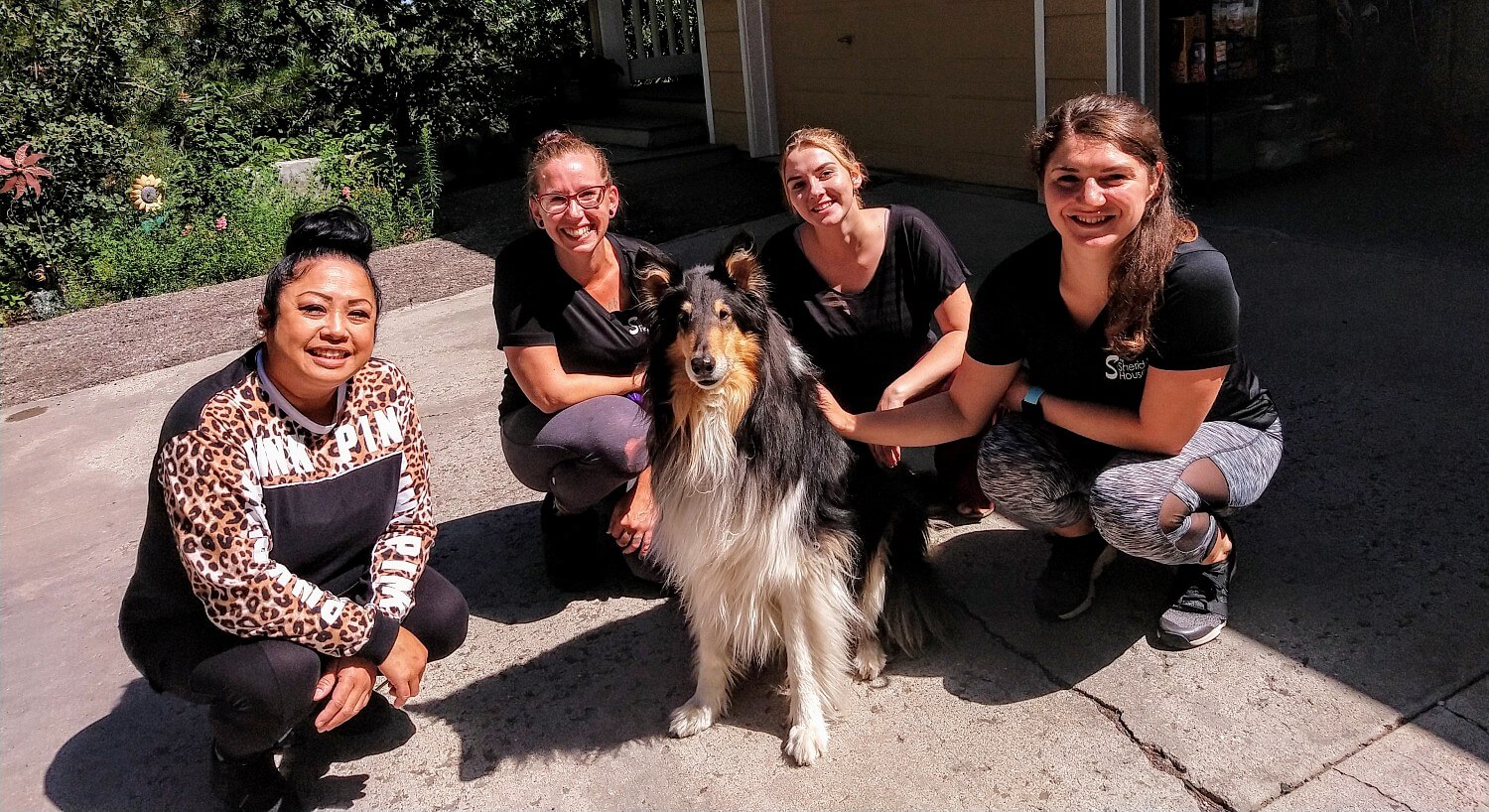 Group of four women kneeling outside on a driveway by a brown, black and white Collie dog