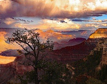 Overhead view of an expansive red and orange canyon with tall trees and burst of clouds and sun above