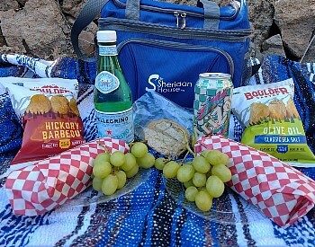 Outdoor picnic with blue cooler, fruit, chips, drinks and two sub sandwiches in red and white checkered paper