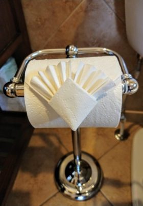 Silver toilet paper stand with decorative fold shown on edge of roll